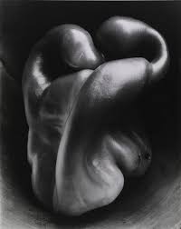 形式与内容平衡的艺术摄影